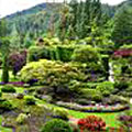 Butchart Gardens